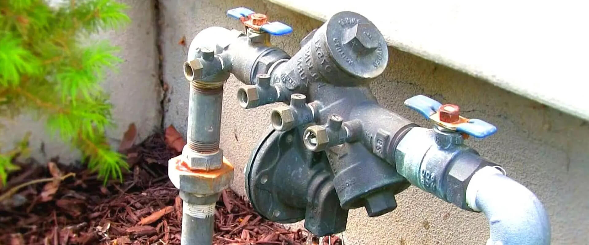 backflow device in backyard bg img
